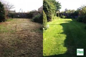 Lawn Renovation