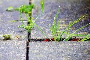 Total weedkilling